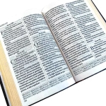 Bíblia King James 1611 - letra ultra-gigante - capa luxo castanha